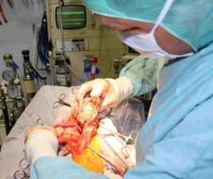 Die schnelle Durchführung von Operationen entscheidet oft über Leben und Tod.
