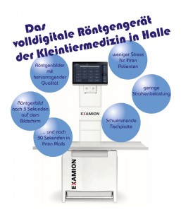 voll digitales oder direkt digitales Röntgen